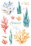 Oceanic seaweed watercolor set