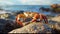 Oceanic Serenity: Captivating Crab on Rocky Perch Amidst Tides.