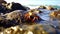 Oceanic Serenity: Captivating Crab on Rocky Perch Amidst Tides.