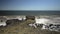 Oceanic waves against rocks in Africa, Morocco, Essaouira city