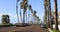 Oceanside California palm lines main highway traffic 4K