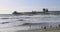 Oceanside California Pier seagulls on sandy beach 4K