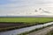 Oceanside walk long grass road stream fields clouds sunshine fields green agriculture fence mowing