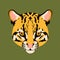 Ocelot cat face vector illustration style flat