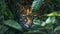 Ocelot peering through foliage