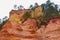 The ochre cliffs of Roussillon, ranked as one of the most beautiful villages of France