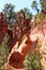 Ochre colored peaks near Roussillon, France