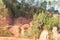 Ochre Trail in Roussillon, Sentier des Ocres, hiking path in a natural colorful area of red and yellow cliffs surrounded by green