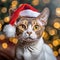 Ocicat Opulence: Cat in a Santa Claus Hat Embraces the New Year with Spotted Elegance