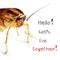 Ð¡ockroach macro isolated on a white background with the words Hello Let`s live together