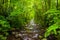 The Oconaluftee River, at Great Smoky Mountains National Park, N