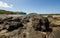 Ocotal Beach in Guanacaste - Costa Rica