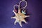 Octagonal new year star made of straw on a purple background. Handwork