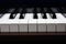 An octave of piano key