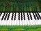 Octaves, white and black keys on a piano or grand piano. Green deck. Musical theme. Keyboard stringed musical instrument