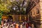 October 30, 2014: The Bodhi tree, where the Buddha reached Nirvana in Bodhgaya, India