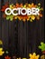 October background with colorful leaves.