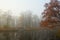 October foggy morning in Alexandrovsky Park