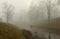 October foggy morning in Alexandrovsky Park in Tsarskoe Selo