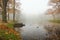 October foggy morning in Alexandrovsky Park in Tsarskoye Selo