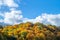 October golden landscape in Europe. Autumn outdoor. Top of yellow, red and green trees, and blue sky with scenic white clouds