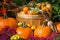 An October Halloween scene showing pumpkins and gourds