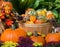 An October Halloween scene showing pumpkins and gourds
