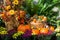 An October Halloween scene showing pumpkins and gourds