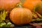 October nature concept with pumpkins, walnuts and autumn leaves