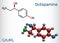 Octopamine molecule. It is biogenic phenylethanolamine, sympathomimetic drug. Skeletal chemical formula