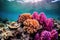 octopus camouflaged among vibrant coral reef