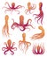 Octopus cartoon flat characters set. Aquatic fauna icons. Animals illustration for zoo ad, nature concept. Cute color