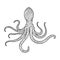 Octopus coloring book for adults vector