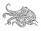 Octopus coloring book for adults vector