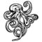 Octopus Drawing Seafood Vector illustrtor tattoo illustration