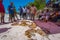 Octopus fishing on the eastern coast of Zanzibar