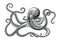 Octopus hand drawing vintage engraving illustration on white backgroud