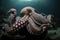 octopus kraken lurking in murky depths, ready to attack