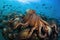 octopus kraken swimming among schools of fish, having already devoured most of the school