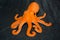 Octopus orange toy on grey background