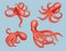 Octopus. Realistic marine creature animal squid aquatic decent vector 3d octopus