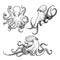 Octopus sketch hand drawn vector illustrations set. Engraving line art collection.