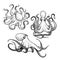 Octopus sketch hand drawn vector illustrations set. Engraving line art collection.