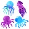 Octopus squid cartoon watercolor painting illustration design hand drawing art