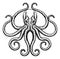 Octopus or Squid Illustration