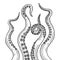 Octopus tentacle set sketch engraving vector