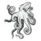 Octopus vector hand drawn illustration.