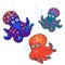 Octopuses set