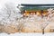 Odaesan mountain Woljeongsa temple at winter in Pyeongchang, Korea