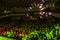 Odessa, Ukraine - April 12, 2019: Crowd of spectators at rock concert ALEKSEEV during music show. Crowds of happy people enjoy